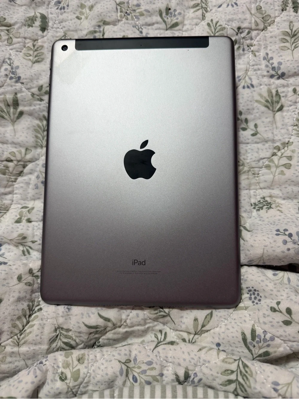Apple iPad 6th gen
